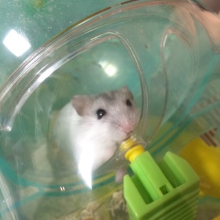 生後2カ月 女の子