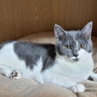 日に日に表情が豊かになってきているせんこちゃん