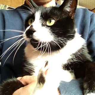 白黒ぶっちゃん