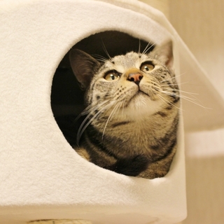 膝のり甘えんぼ男の子