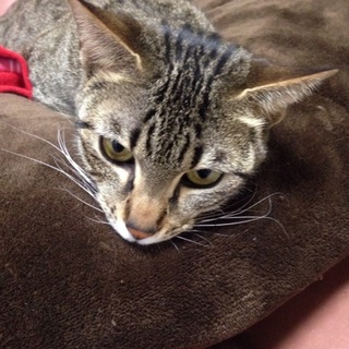 たくさんのご応募ありがとうございました