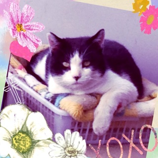 甘えん坊です！！