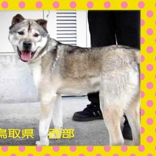 保護施設アミティエに行きました。