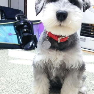 一時募集停止します（本文に追記あり）