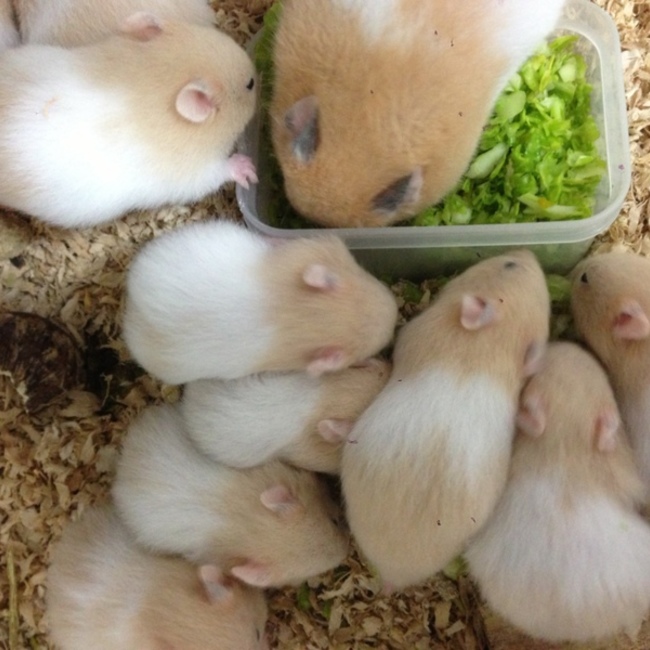 saki_uskrのカバー写真