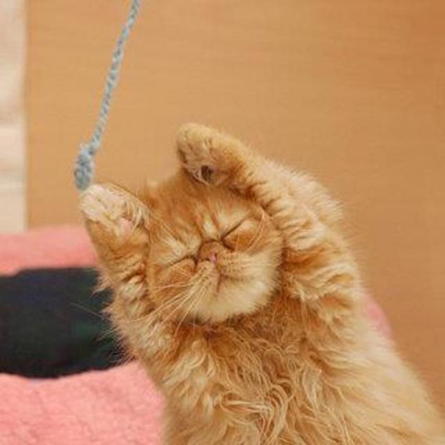 rilyouka0922のカバー写真