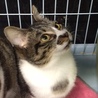 優しい里親さんが決まりました☆