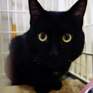 ★大きな少年「ジェットくん」（ハンディあり）★