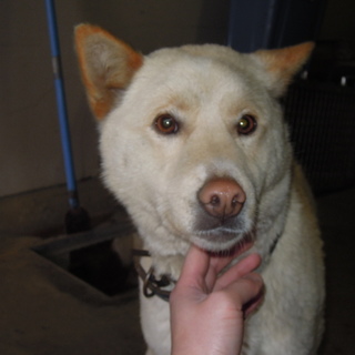 期限切迫！！人なつっこくて若い男の子です