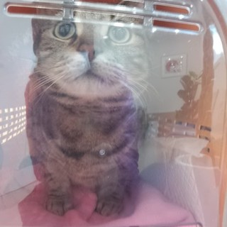 良いご縁がありました。ありがとうございました。