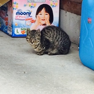 幸せにしてあげて下さい