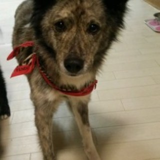 ひかえめでかわいい子です♪