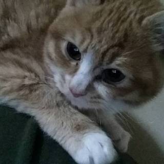 ありがとうございました！