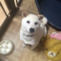 たくさんのご応募ありがとうございました。