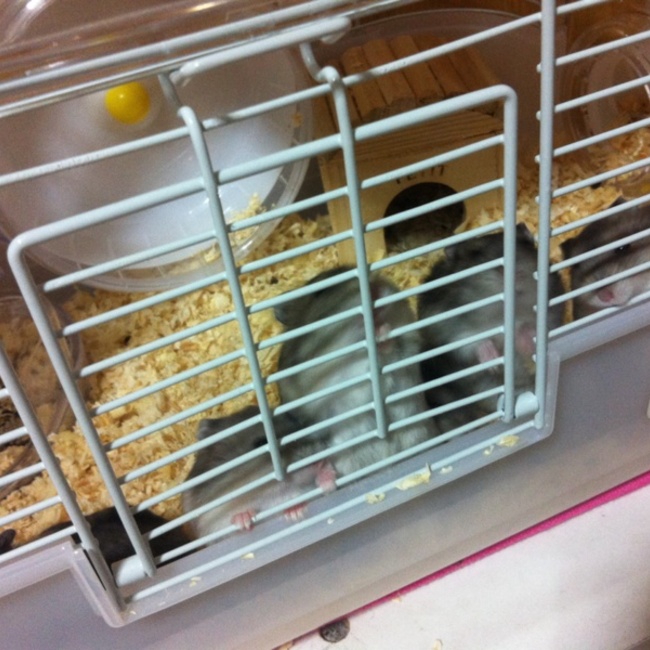 あおxxxのカバー写真