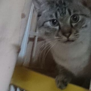 怖がりな小玉ちゃん