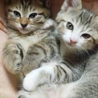 みなさま本当にありがとうございました