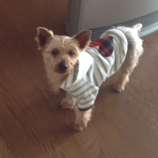 とても穏やか癒し系♀３．６キロ