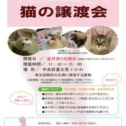 ☆★☆猫の譲渡会　於：相模原市☆★☆