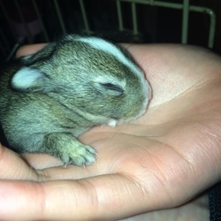 里親さんにお伝えする成長記録.・