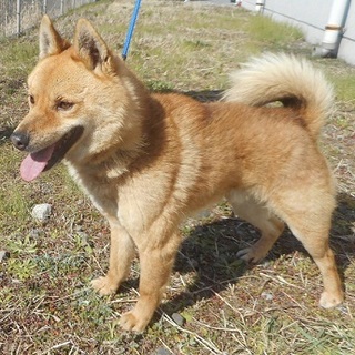 家族ができました♡