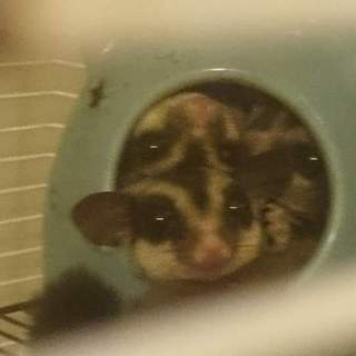 沢山のご応募ありがとうございました！