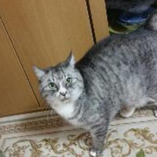 助けてください