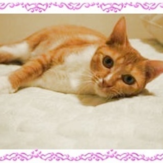 性格抜群　不思議顔のあまえっこ