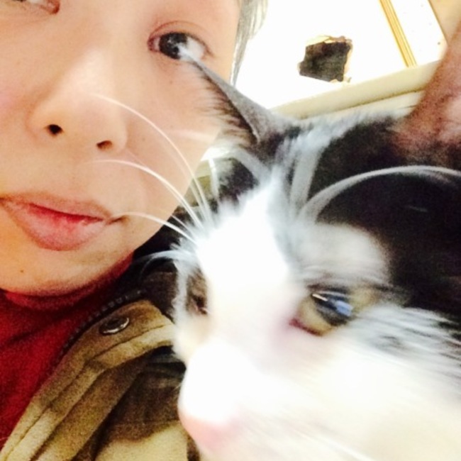 ちえじーにゃのカバー写真