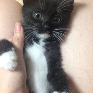 募集終了しました