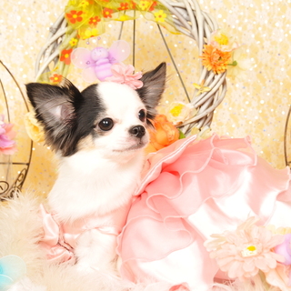 大事にしてくださる方へ