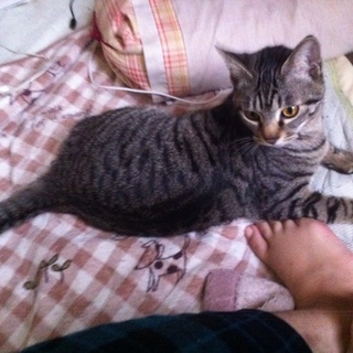 無事里親さん決まりました！！