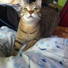 里親さん決定！！ありがとうございました！ サムネイル2