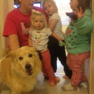 虹の橋を渡りました里親様最後まで有難う御座いました