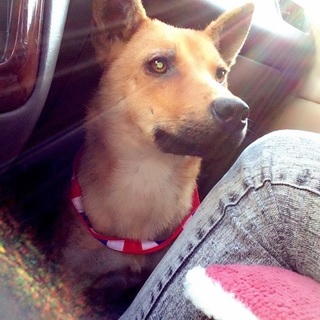 幸せになれました！ありがとうございました！