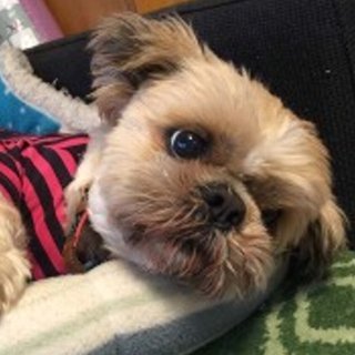 仮名：パーム　好奇心が旺盛