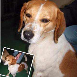 この子の命を救ってください。