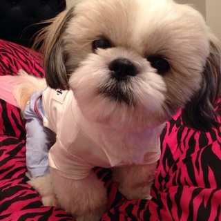 ありがとうございました。見つかりました。