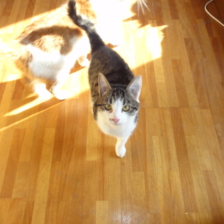 めっちゃ元気でやんちゃな３兄弟①