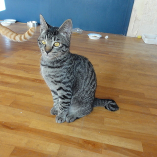 めっちゃ元気でやんちゃな３兄弟②