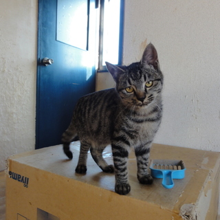 めっちゃ元気でやんちゃな３兄弟③