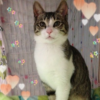 甘えん坊な♪輝くん♪