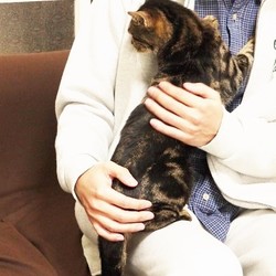 多頭飼崩壊現場から新たな旅立ち 2