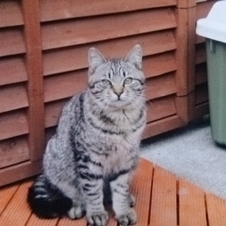 甘えん坊でふわふわな男の子