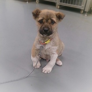 ☆困った顔のハルくん　男の子 ２か月☆