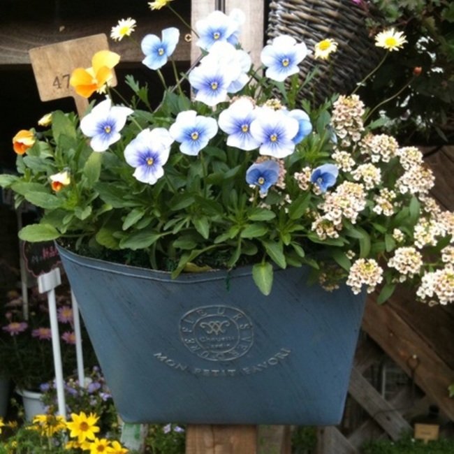 ぬのりんのカバー写真