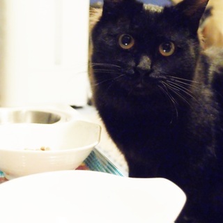 見た目はゴージャス、中身はけなげな女の子