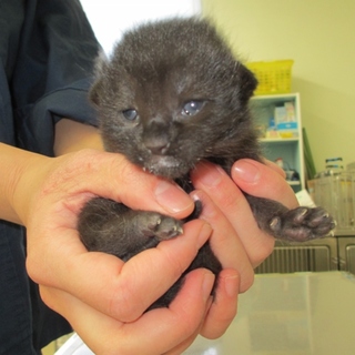 素晴らしい出会いがありました