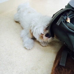 お泊りトレーニング