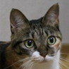 都